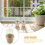 40 paper pulp pots for plant propagation and school projects 5