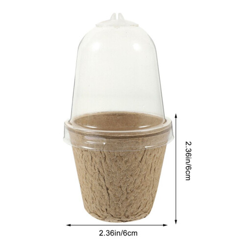 40 paper pulp pots for plant propagation and school projects 2