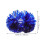 2 pluizige pompons, voetbalaccessoires, cheerleading 3