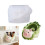 Flexible Silicone Cabbage Pig Mold For Concrete Resin Planter 2