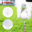 50 plastic golftees van 3 1/4 inch (8,3 cm) voor training, wit 5