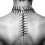 Futuristic Fishbone Neck Chain Bracelet Silver-fish necklace 1