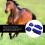 Horse Legguard Leg Protector PU Thickened Shell Blue L 8
