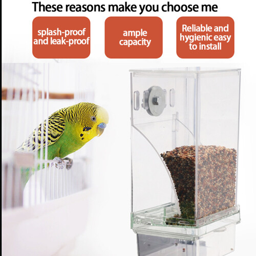 Transparent Automatic Bird Feeder Boxed 1