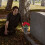 6pcs Plastic Flower Holders with Insert for Grave 4