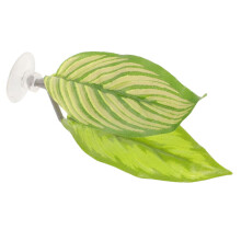 Lit de repos pour betta, en forme de feuille, pour les passionnés de poissons (1 pièce, vert).