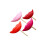 Grappige foto-lippen feestaccessoires N 3