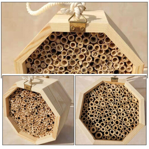 Ruche suspendue pour les abeilles pollinisatrices, aide à la nidification 2