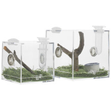 2 Stück durchsichtige Spinnenbrutbox, Insektenkasten, Lebensraum für laufende Spinnen