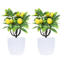 2 stuks kunstmatige nep-potplanten als woonaccessoire