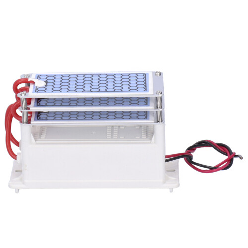 15G Ozon Generator Industrielle Luftreiniger 110V/220V 1