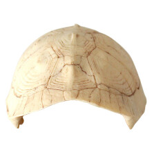 2 Reptilien-Bruthöhlen, Verstecke, Höhlen, Schildkröten