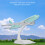 Intricate 16cm Alloy Airplane Model with Bracket for Display 9