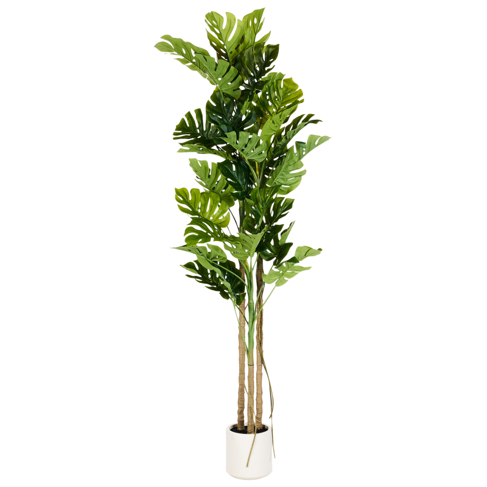 Beliani Green Artificial Plant Monstera Plant 221 Cm