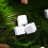 30 blocs minéraux naturels pour reptiles et 5