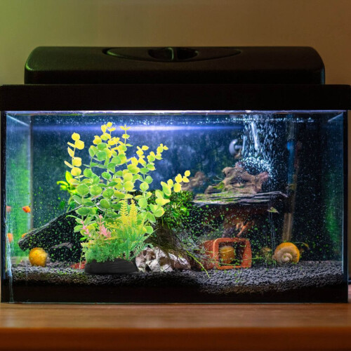 3 st akvarievattenväxtgräs 2