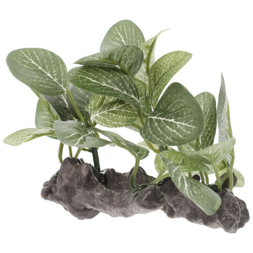 3 st akvariumlandskapsdekorationssimulering 2