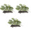 3 st akvariumlandskapsdekorationssimulering 5