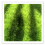 4 Levensecht mos kunstgras 30x30 cm groen 1