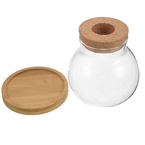 4 set bordsväxtförökningsstation glasvas med bricka 1