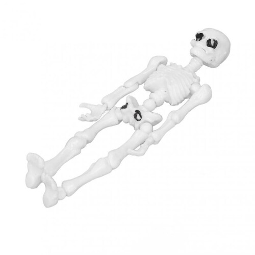 Human Skeleton Model Simulation Movable Mini Full Body Human Skeleton Toy for Teaching Stress Reducing 1