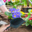 Plast för plantering och flytt 3