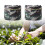 Ergonomic Garden Stool Seat With Memory   Seat Suitable For 6