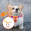 Halloween Katthalsband Justerbart Hundhalsband Med 4