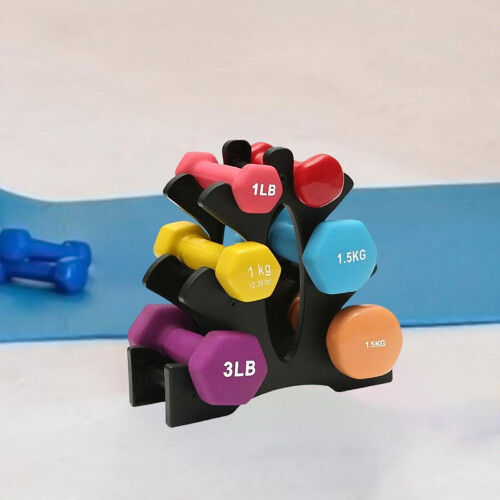 6-Frame Dumbbell Rack for Gym 1