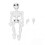 Human Skeleton Model Simulation Movable Mini Full Body Human Skeleton Toy for Teaching Stress Reducing 1