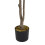 Living And Home 165cm Artificial Cherry Blossom Tree in Pot for Decoration 5