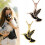 Bird Pattern Wear resistant Pet Cremation Treasure-Rose Gold 3