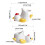 Elegant Ceramic Eggs Stands Convenient Eggs Holders For-1 6