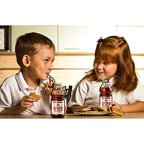 Kedem Concord Mini Grape Juice 240ml (4 Pack) 2