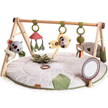 Tiny Love Luxe Developmental Gymini, Stylish Wooden Baby Play Gym with Music, 0+ Months, Baby Play Mat, 20 Activities, Musical Take-Along Toy, Premium