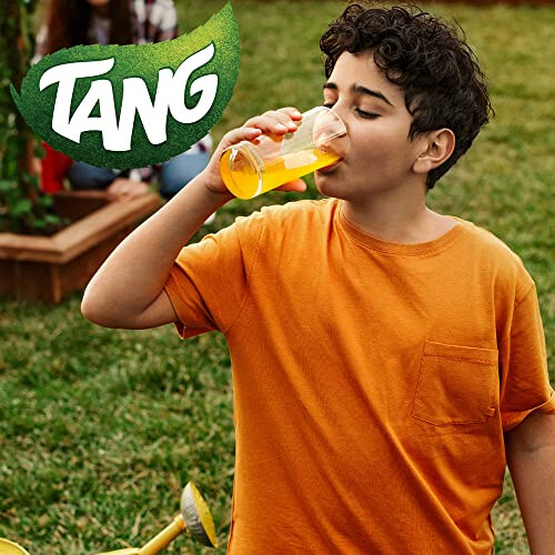 Tang Instant Powder Drink Orange 2kg 2