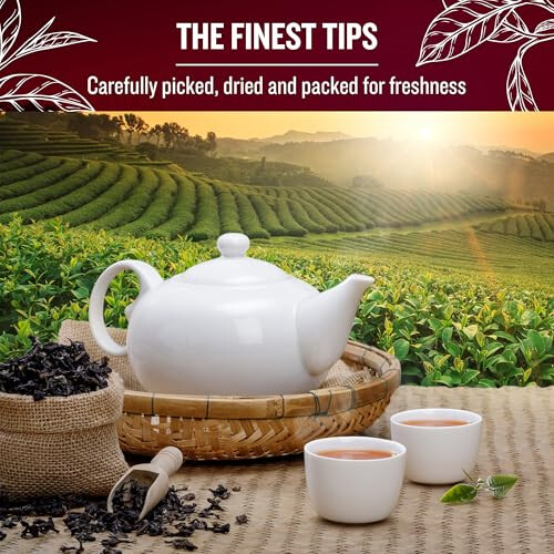 The Tea Masters Loose Leaf Tea - Breakfast Tea - Premium (1x1kg) 2