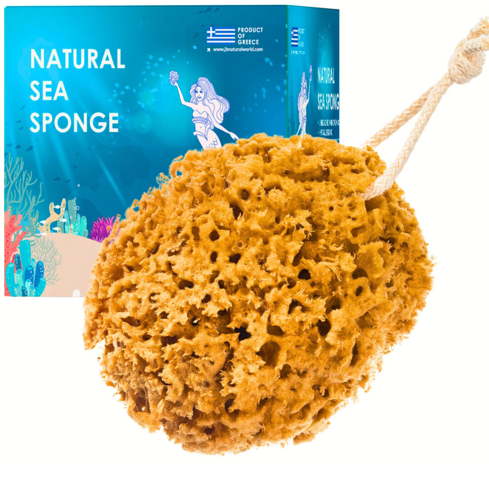 Jordan Benedict Natural Sea Sponge, Unbleached Honeycomb Bath Sponge, Exfoliating Bath Sponges For Adults, Organic Shower Sponges For Women And Men