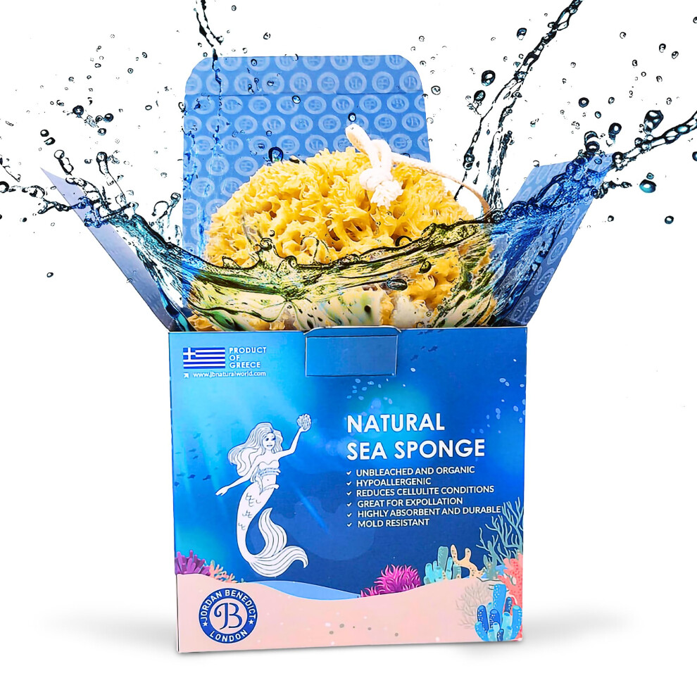Jordan Benedict Natural Sea Sponge, Unbleached Honeycomb Bath Sponge, Exfoliating Bath Sponges For Adults, Organic Shower Sponges For Women And Men