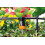 Claber Claber ? Kit 50 Terrace Irrigation 3