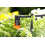 Claber Claber ? Kit 50 Terrace Irrigation 2