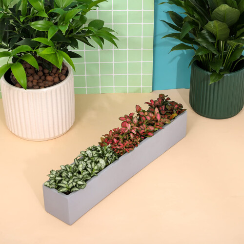 Ten-stone 14.5-Inch Gray Unglazed Rectangle Concrete Succulent Planter Windowsill Boxes 2