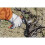 Bahco Bacho PX-M2 Ergonomic Secateurs (Medium) 2