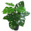 Leaf Leaf Artificial Monstera Plant, 120cm 3