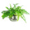 Leaf Leaf Large Straight Edge Hammered Metal Planter, Silver, 32cm x 20cm 3