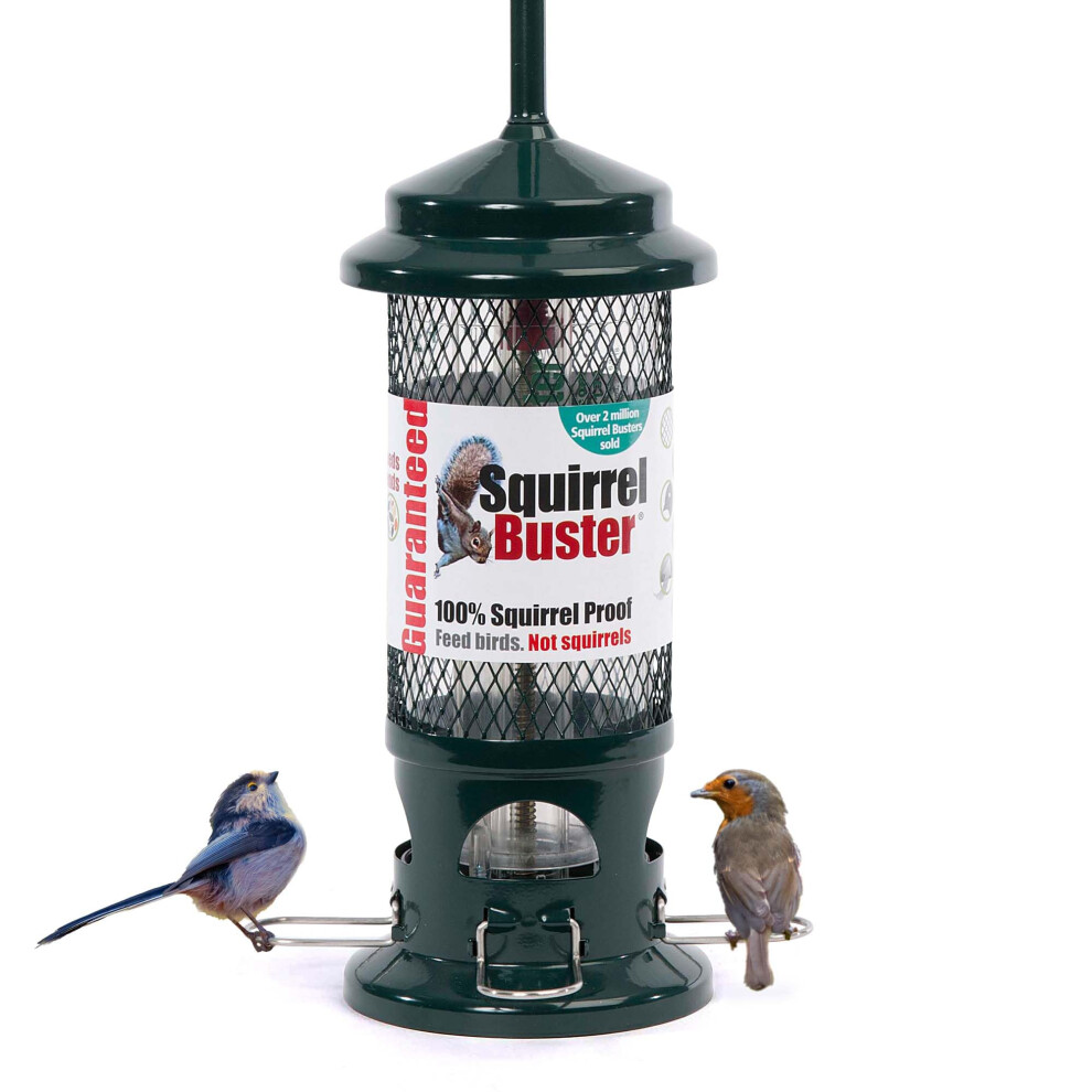 Squirrel Proof Bird Feeder for Seeds - Jacobi Jayne? Squirrel Buster? Seed Bird Feeder ? Pigeon Proof Metal Bird Seed Feeder for Wild Birds ? Easy-image-OPC-PMXWSHX-NEW