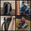 SEASHELL 25L Drybag Backpack - 100% Waterproof - Heavy Duty Roll-Top Closure - Cushioned Padded Back Panel (Black) 4