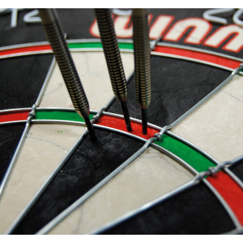 winmau WINMAU Pro SFB Bristle Dartboard 2