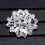 - Gespclips Bruidsschoenaccessoires 5