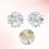 - Gespclips Bruidsschoenaccessoires 4